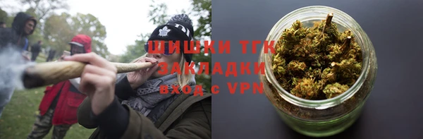 спиды Богородск