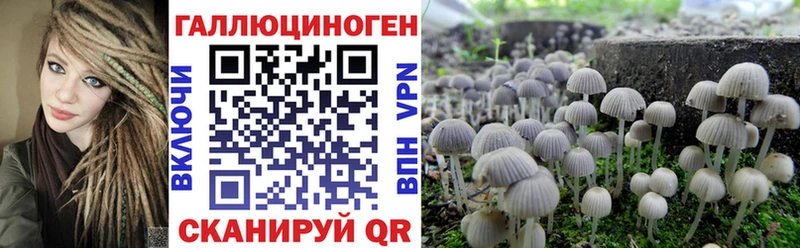 Галлюциногенные грибы GOLDEN TEACHER  кракен зеркало  Губаха 